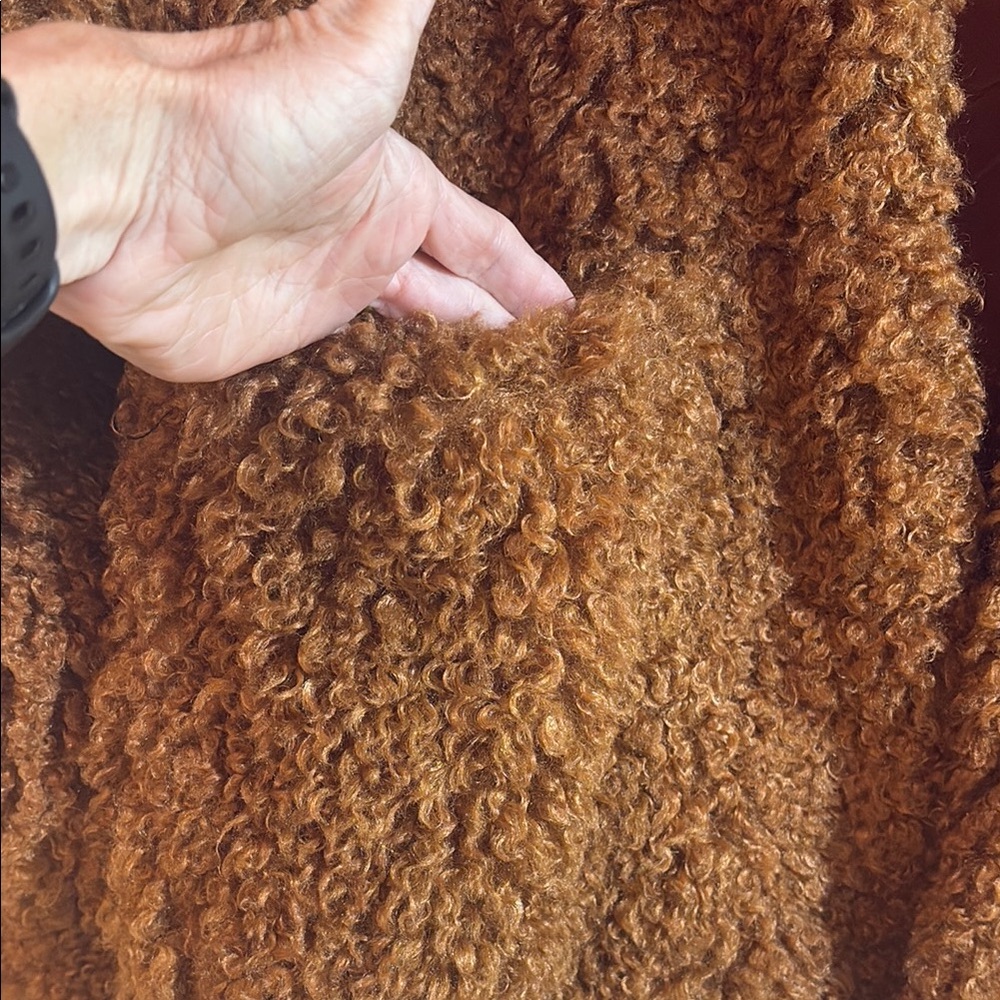 Cozy Brown Teddy Coat, S, NWOT - Picture 3 of 5